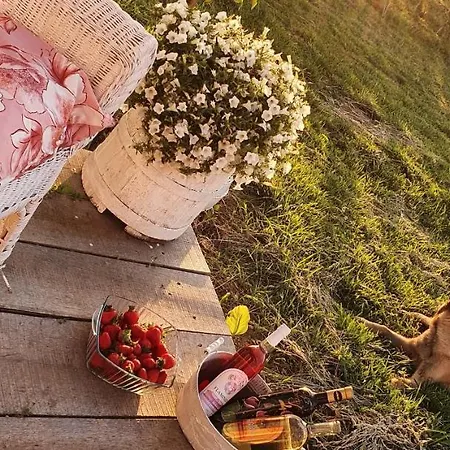 Bed & Breakfast Bojeresku Negotin