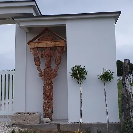 Bojeresku Negotin