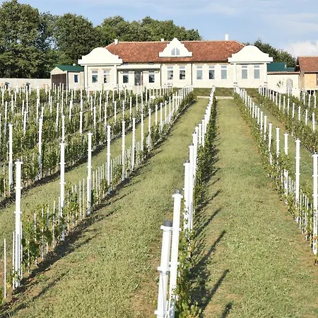 Bed & Breakfast Bojeresku