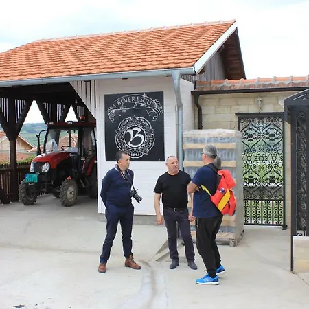 Bojeresku Negotin